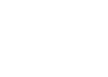 Karnevalsorden F08 - Gold / 45 mm