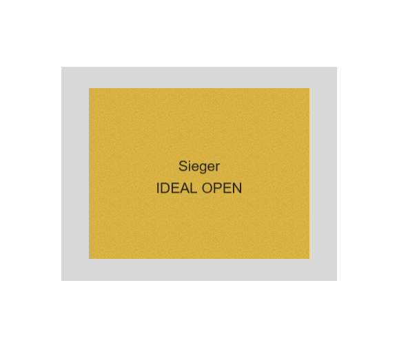 Pokal Dart ST.182 - Gold / 31.5 cm