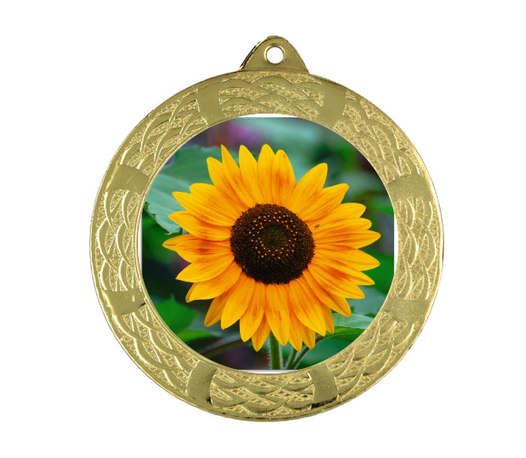 Medaille ME0270 Ø 70 mm - 70mm / Gold