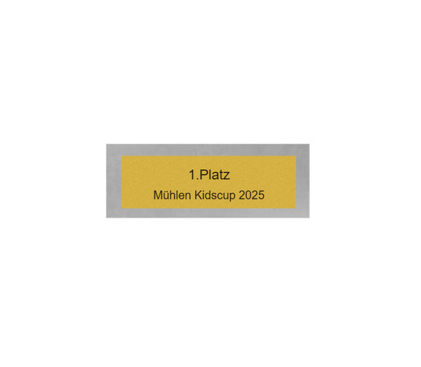 Fussball Pokal PFS_004 - 22.5 cm / Silber Mehrfarbig