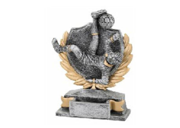 Fussball Trophäe FG156 - Grau Gold / 13,5 cm