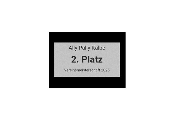Pokalserie X161 Dart - Silber Mehrfarbig / 26.5 cm