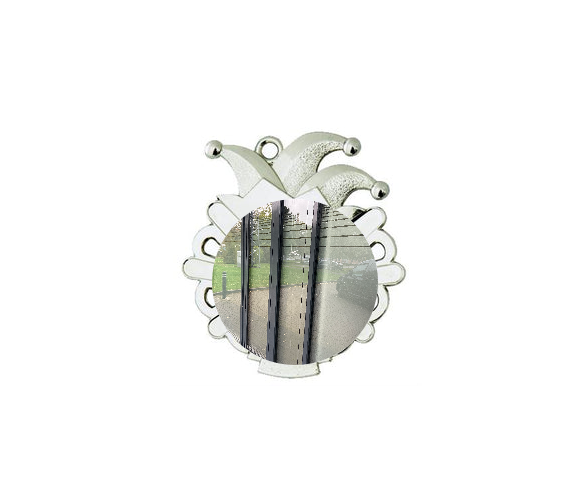 Karnevals Medaille D54-S - Silber / 50x56x2mm