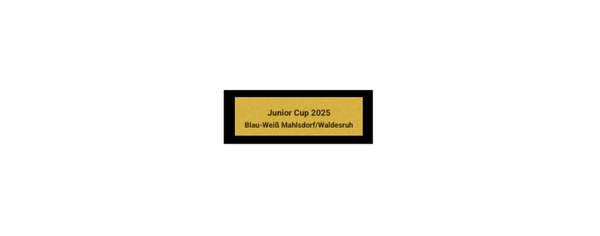 Pokal Fußball ST.184 - 20.5 cm / Gold