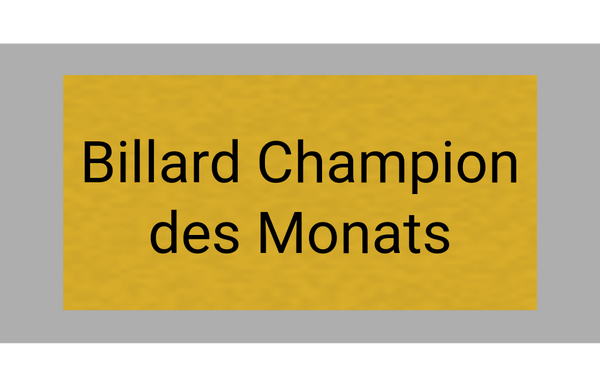 Billard Pokal TU0059 - 29 cm / Silber Mehrfarbig