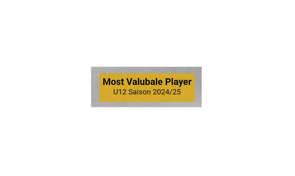 Basketball Pokal FG4131 - 19.5 cm / Silber Mehrfarbig