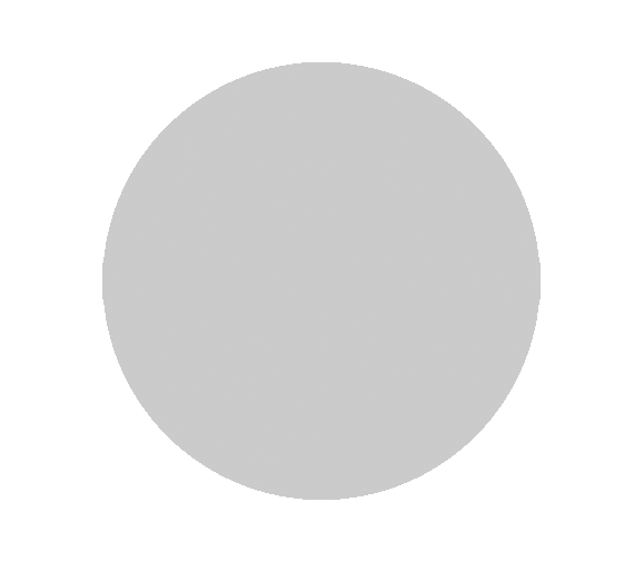 Aluminium-Emblem - 50 mm / Silber/Alu