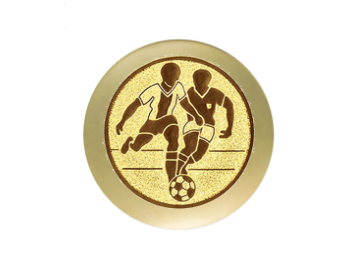 Ehrentafel 187-13 - Gold / 12 x 15 cm