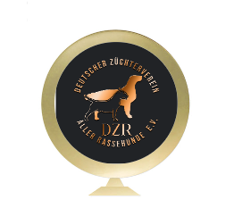 Pokal Serie 346 - Gold/Silber / 45 cm