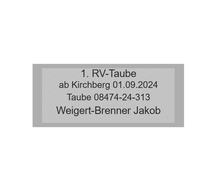 Gravurschild Silber selbstklebend - Silber / 60 x 25 mm