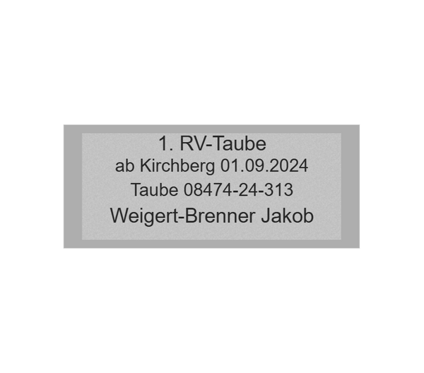 Gravurschild Silber selbstklebend - Silber / 60 x 25 mm