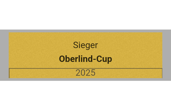 Pokal Serie 120 - 29 cm / Silber/Gold