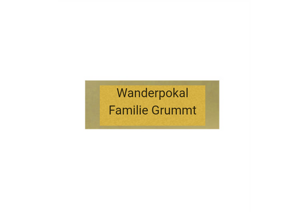 Glas Pokal Dart FG011 - 19 cm / Transparent Schwarz