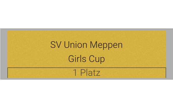 Pokal Serie 120 - 33 cm / Silber/Gold