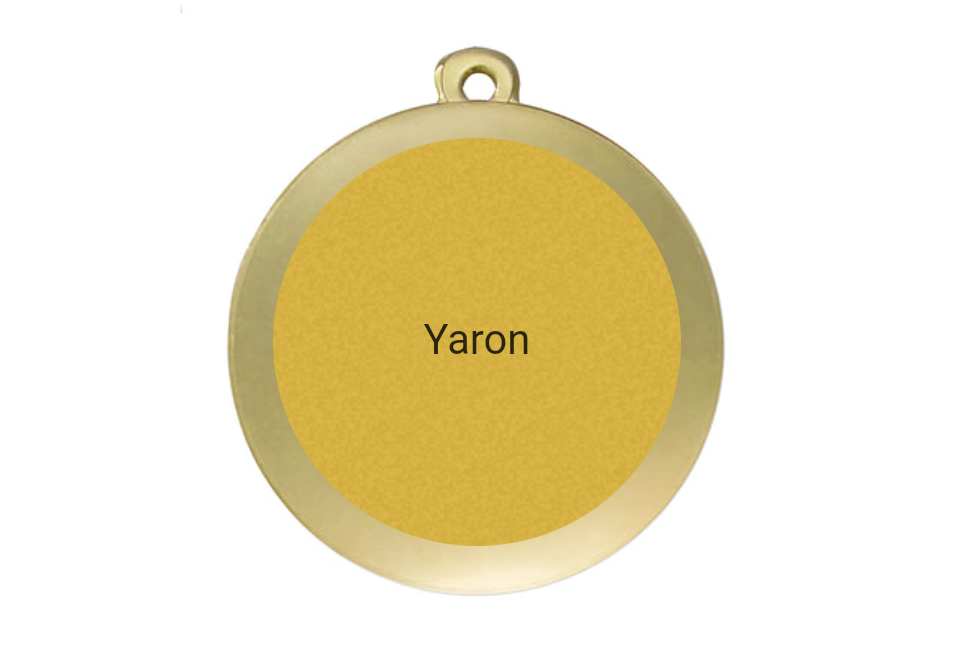 Medaille Fußball D101 / 59x39 mm - Gold / 59x39 mm
