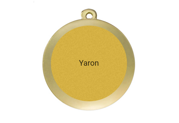Medaille Fußball D101 / 59x39 mm - Gold / 59x39 mm