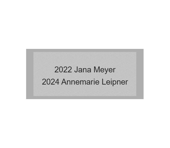 Gravurschild Silber selbstklebend - Silber / 70 x 30 mm