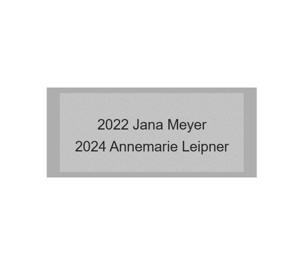 Gravurschild Silber selbstklebend - Silber / 70 x 30 mm