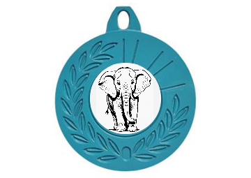 Farbmedaille Ø 50 mm - Türkis / 50 mm