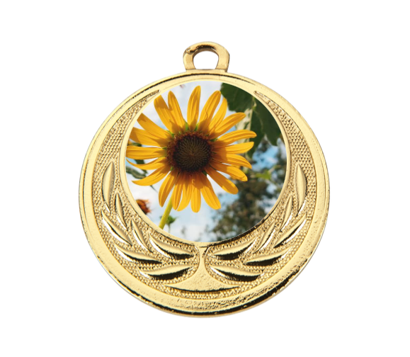 Medaille BS.ME64 Ø 40 mm - Gold / 40 mm