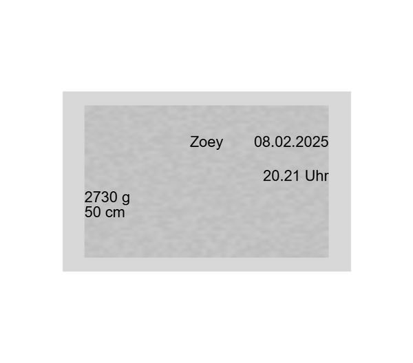 Zinn Geburtsteller Z1125 - Rein Zinn / 23 cm