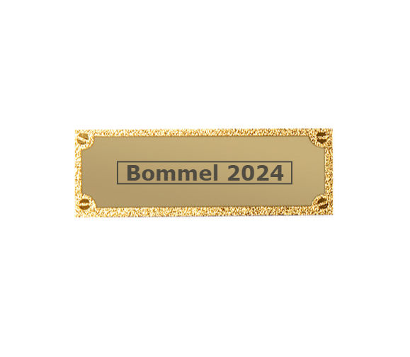 Gravurschild edel in Gold - Gold / 62 x 25 mm