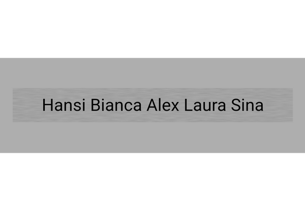 Edelstahl-Klingel Bär 805007 - Silber matt / 110x80x3 mm