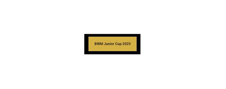 Pokal Fußball ST.184 - 20.5 cm / Gold