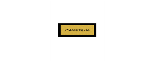 Pokal Fußball ST.184 - 20.5 cm / Gold