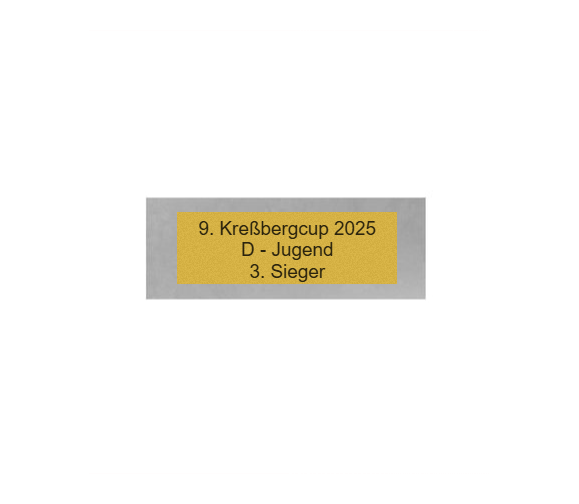 Fußball Pokal FG401 - Silber Mehrfarbig / 19.5 cm