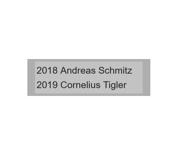 Gravurschild Silber selbstklebend - Silber / 50 x 15 mm