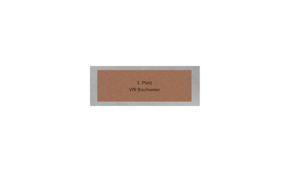 Fußball Pokal 3735x - Silber Gold / 30 cm