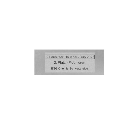 Fußball Pokal FG401 - Silber Mehrfarbig / 24 cm