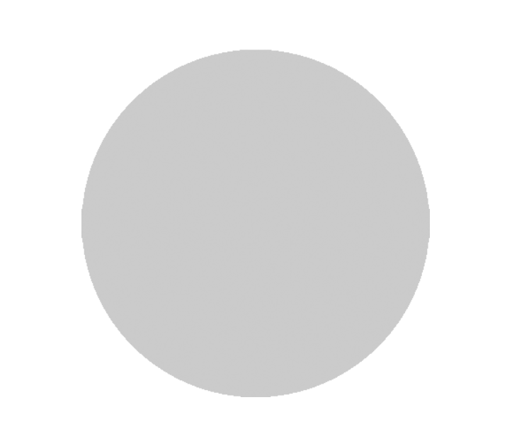 Aluminium-Emblem - 50 mm / Silber/Alu