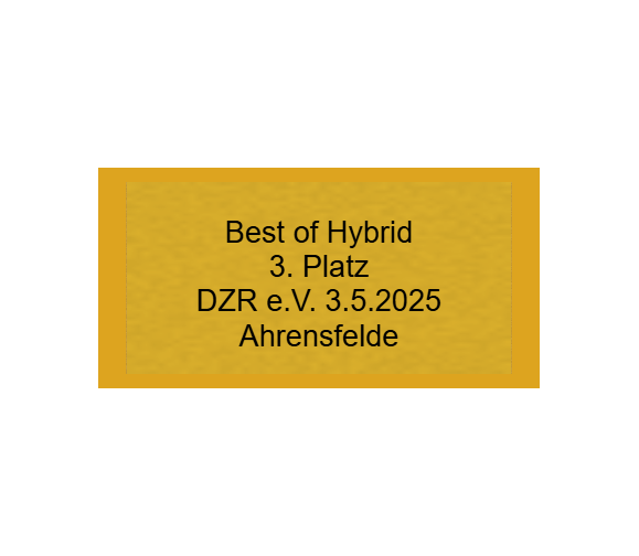 Gravurschild Gold selbstklebend - Gold / 50 x 25 mm