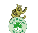 Karnevals Medaille 8996g - Gold / 10.8 cm