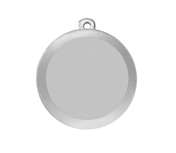 Medaille Fußball D101 59x39 mm - Silber / 59x39 mm