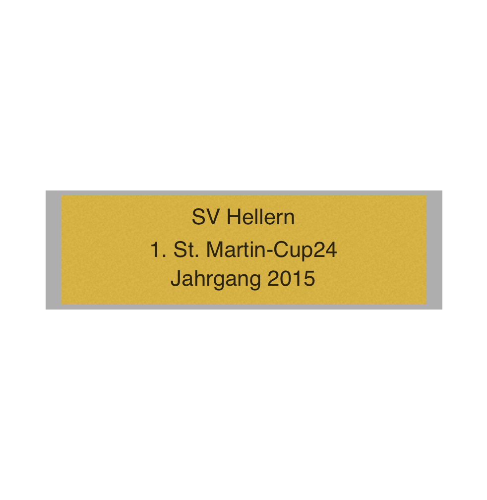 Pokal Serie 120 - 33 cm / Silber/Gold