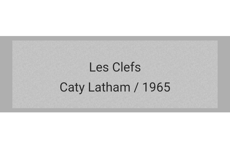 Klingelschild Silber selbstklebend - Silber / 60 x 20 mm