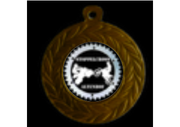 Medaille D10 Ø 45mm - Gold