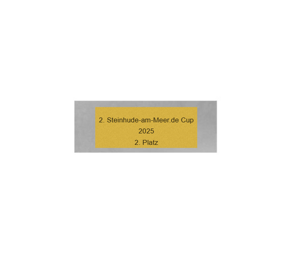 Fußball Pokal FG401 - Silber Mehrfarbig / 27 cm