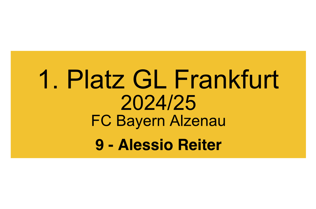 Fußball Pokal 0951 - 24 cm / Gold/Blau