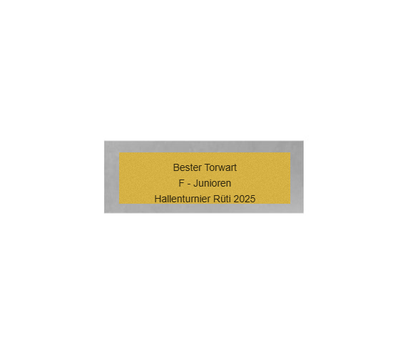Torwarthandschuh Pokal FG4025 - 17 cm / Silber Gold Grün