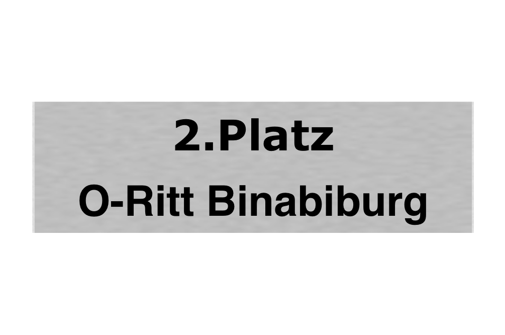 Gravurschild Silber selbstklebend - Silber / 50 x 15 mm