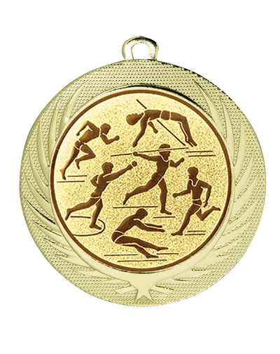 Medaille BS.ME76 Ø 70 mm - Gold / 70 mm