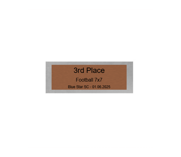 Fußball Pokal 3735x - Silber Gold / 30 cm