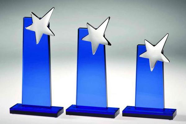 Glastrophäe Polarstern 66590