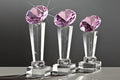 Diamant Trophäe Rosa