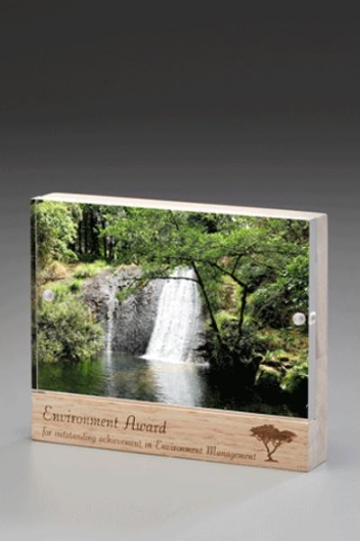 Wooden Magnet Award