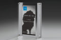 Wood Channel Award